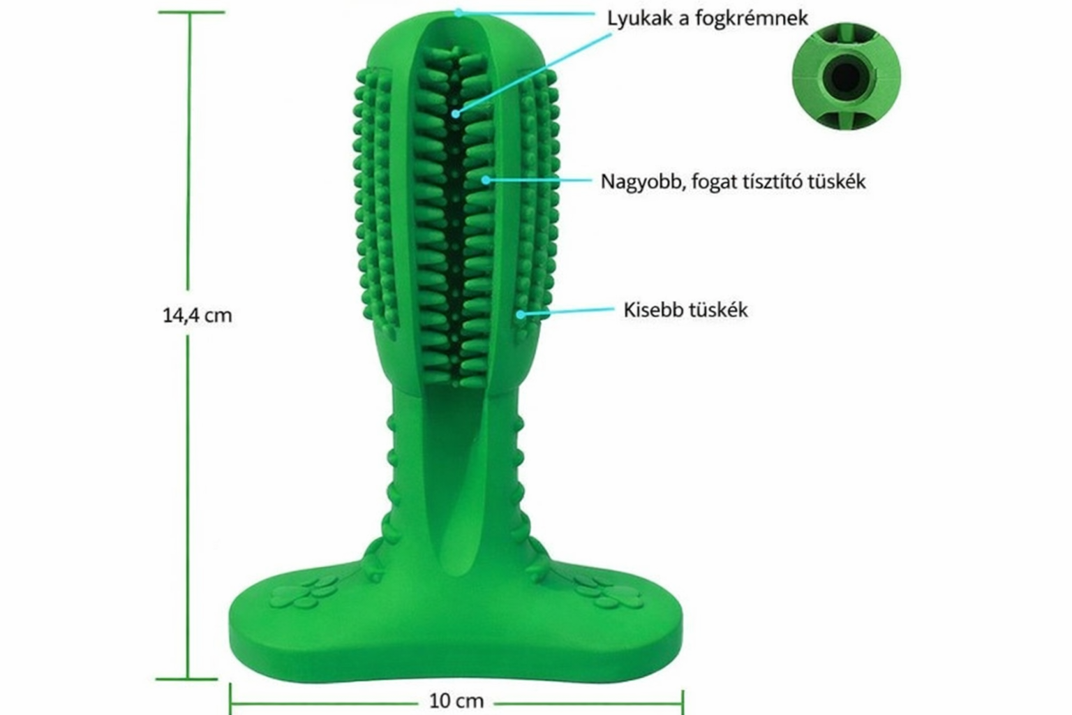 Fogápoló Kutyajáték Fogkrémtartállyal